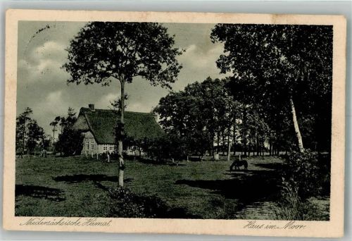 Haus im Moor Pferd Niedersächsische Heimat Verlag Hermann Ch. Büsing Serie 19 Nr. 4