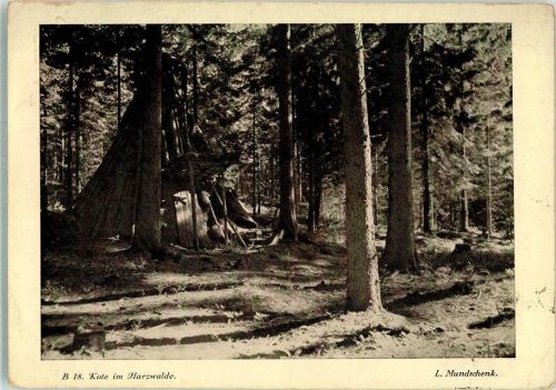 Foto L. Mundschenk Kote im Harzwalde