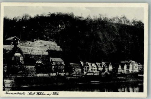Wehlen Stadt Panorama des Ortes an der Elbe Verlag Alwin Keil 2513