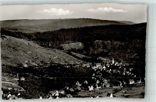 Korb SteinreinachFoto Original aus Archiv eines Ansichtskartenverlags Ort handschriftlich