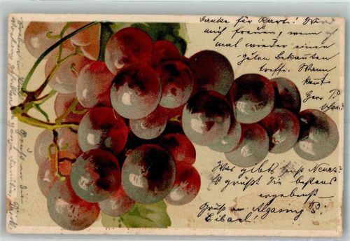 1905 Eine Weinrebe mit roten Trauben Verlag Wezel & Naumann Serie 428