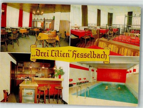 Hesseneck Gasthaus Pension Drei Lilien Bar Gastraum Hallenbad