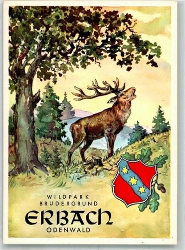 Erbach Wildpark Brudergrund Hirsch Wappen Rot Blau Gold Sterne