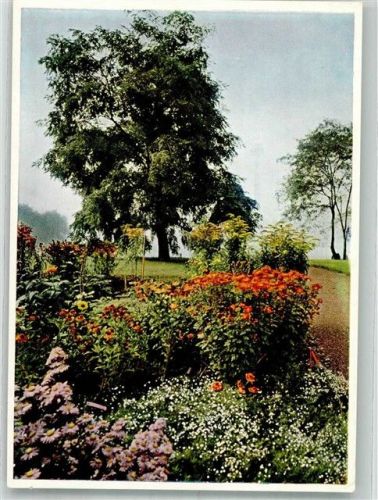 Köln Deutz 105 1957 Ausstellungsgelände der Bundesgartenschau Fotograf Fürstenberg