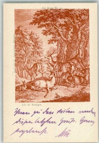 sign. Ridinger Kupferstich Gruppe von Hirschen und Wild in einer Waldlandschaft Jagdtiere Adelskorrespondenz