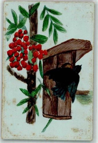 1912 Vogelhaus Vogel