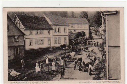 Sommerfrische Engelsbach. Kuhherde in der Dorfstraße. Feldpost kleiner Bug auf der rechten Seite der Karte, sonst gut erhalten.