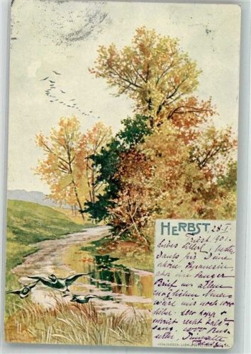 1901 Herbst Bachlauf zwischen herbstlich verfärbten Bäumen Adelskorrespondenz