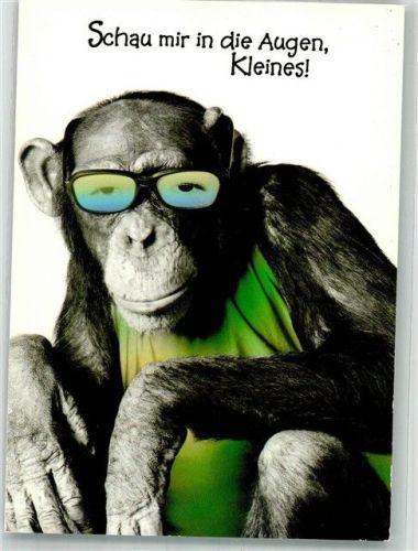 Schimpanse mit Brille Tiere vermenschlicht