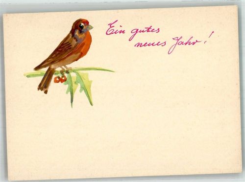 Vogel