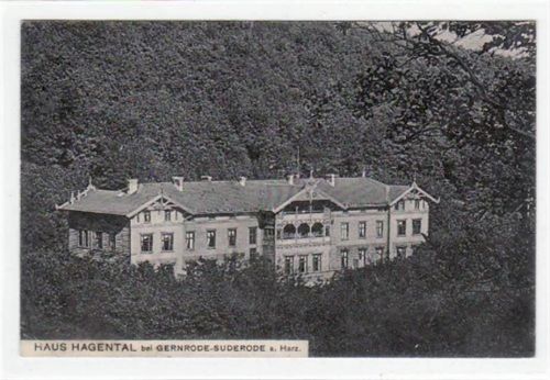 Haus Hagental bei Gernrode - Suderode im Harz. Feldpost, mit Stempel von 1915. An den Ecke n leichte Abdrücke vom Album, kleiner Knick unten links, sonst gut erhalten.