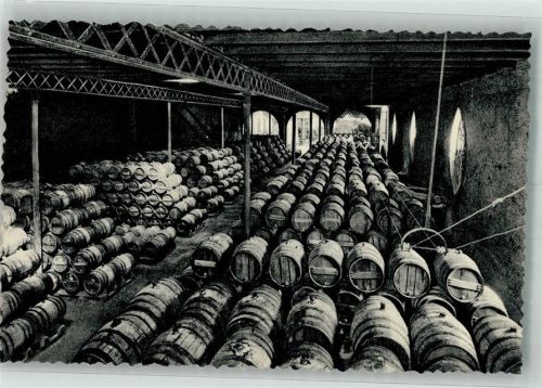 San Sadurni de Noya Casa Codorniu Weinfässer Lager Bodega
