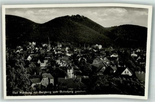Bad Harzburg Burgberg