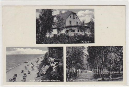 Greifenberg Ostseebad Neu Schleffin - Sliwin / Kreis Greifenberg - Gryfice. Dünen-Pension Freya, Kastens - Birkenwäldchen Promenade ungelaufen Leichte Abdrücke an den Ecke n vom Album, sonst gut erhalten