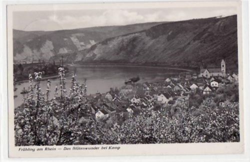 Kamp Blütenwunder mit Frühling am Rhein gelaufen von 1940. Leichter Stempeldurchdruck, kleiner Knick unten rechts, sonst gut erhalten