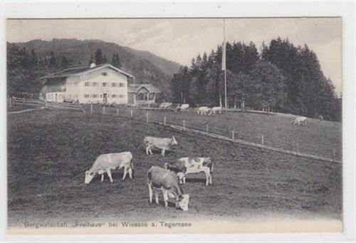 Bergwirtschaft Freihaus mit Kühen bei Bad Wiessee am Tegernsee gelaufen. Sehr gute Erhaltung.