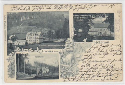 Holzhau Holzhau. zwei verschiedene Ansichten von Richter´s Sommerfrische Forsthaus gelaufen am 28.07.1899. Gute Erhaltung.