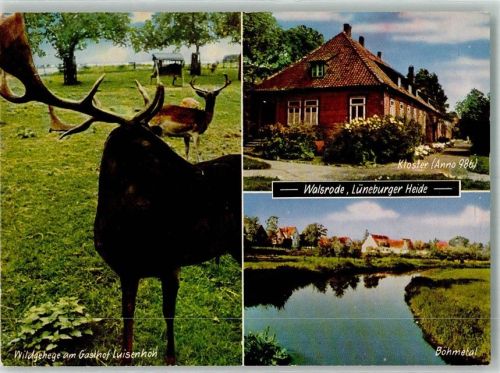 Walsrode Lüneburger Heide Kloster Böhmetal Wild