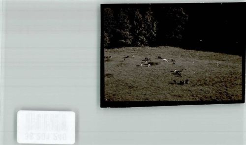Winterscheidermühle Ziegenweide Foto Original aus Archiv eines Ansichtskartenverlags Ort handschriftlich