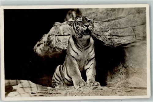 Stellingen Ostsibirien Zoo Hagenbeck AK