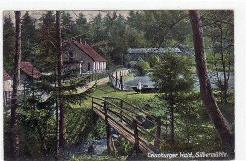 Horn mit Silbermühle im Teutoburger Wald ungelaufen Ecken mit Albumabdrücken, leichte Abschürfungen, sonst gut erhalten
