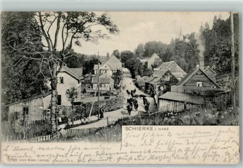 Schierke 1907 Kuhtrieb