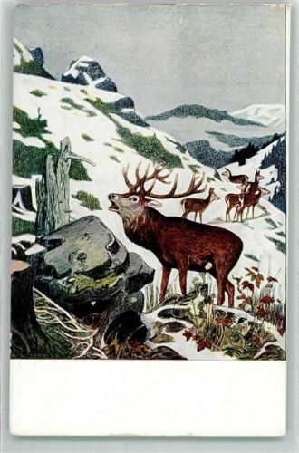 Serie II Nr. 5 sign. Eug. Ludwig Hoeß - Hirsch Brunftschrei AK