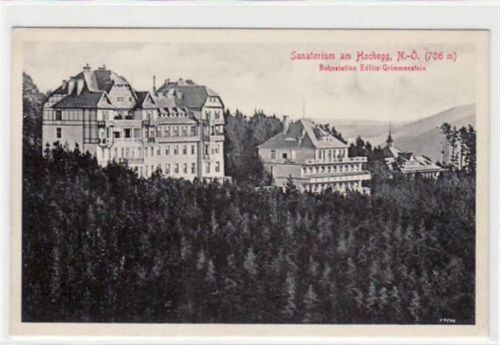 AK vom Sanatorium am Hochegg, Bahnstation Edlitz - Grimmenstein. Ungelaufen. Gute Erhaltung.