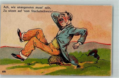 1900 Humor Mann sitzt auf einem Igel AK