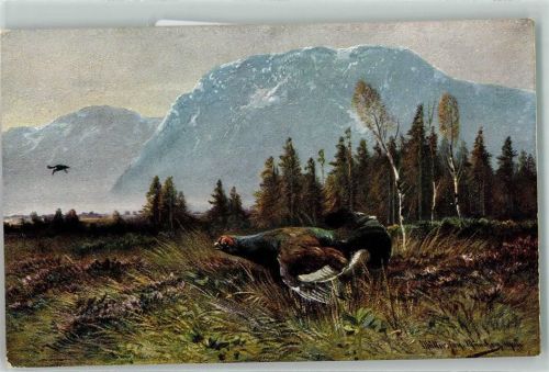 1900 Serie 844 Haar- und Federwild Auerhahn Jagdtiere AK