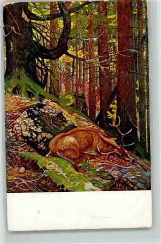 Serie II-4 sign. Ludwig Hoeß Des Waldkönigs Ende Jagd Hirsch