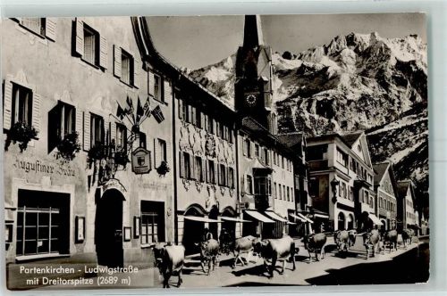 Partenkirchen Kühe ziehen durch das Dorf Ludwigstraße