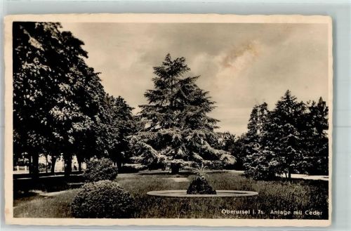 Oberursel Anlage mit Ceder Brunnen
