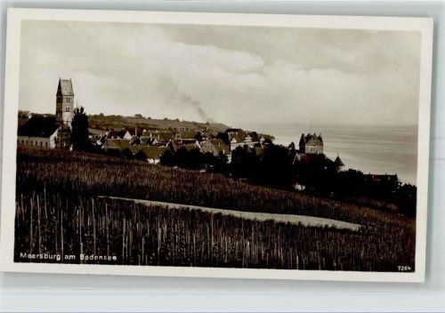 Meersburg Weinrebstöcke Bodensee