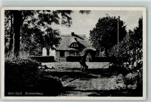 Born Strohdachhaus Esel Garten