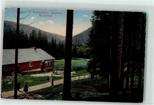 St. Andreasberg Rinderstall