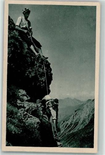 Edelweißsucher in den Hochalpen AK