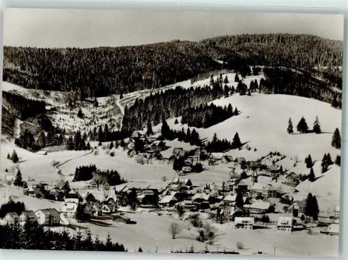 Altglashütten Winter