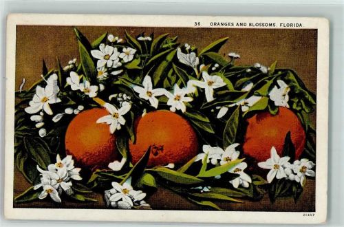 Florida Oranges and Blossoms Landwirtschaft AK