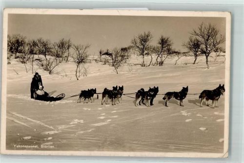 Yukonspannet, Störlien Schweden AK Hundeschlitten 1937 Foto AK