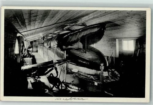 Riesenwalfisch Alter 168 Jahre AK Wal