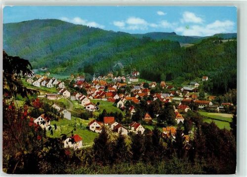 Steinwiesen