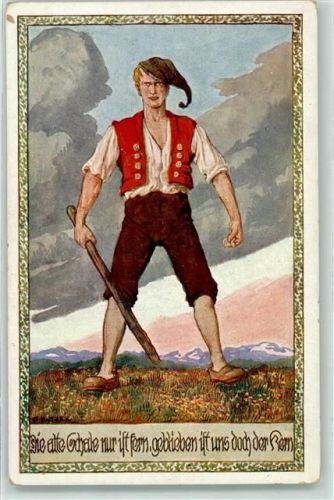 Verlag des Vereins Südmark Nr. 370 Der deutsche Michel Kutzer, E. Künstlerkarte