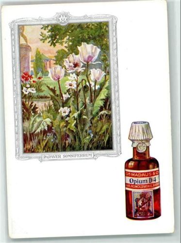 Dr. Madaus & Co Bildserie Bild 9 - Heilpflanzen im Bilderrahmen