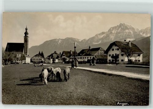 Anger Kirche und Marktplatz Mariensäule Schafherde