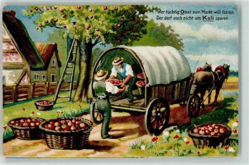 Kalisyndikat Obsttransport Planwagen Früchte Ernte - Das ABS des Landmanns Düngerwerbung Künstlerkarte