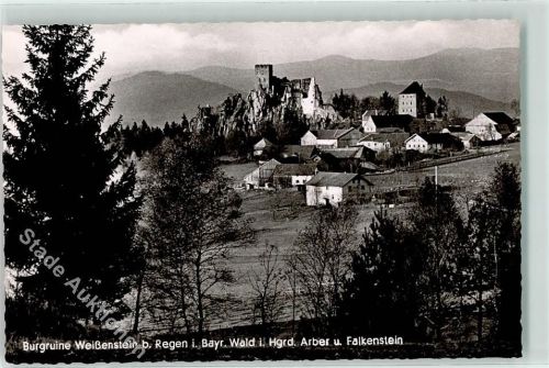 Regen Burgruine Weißenstein Arber Falkenstein