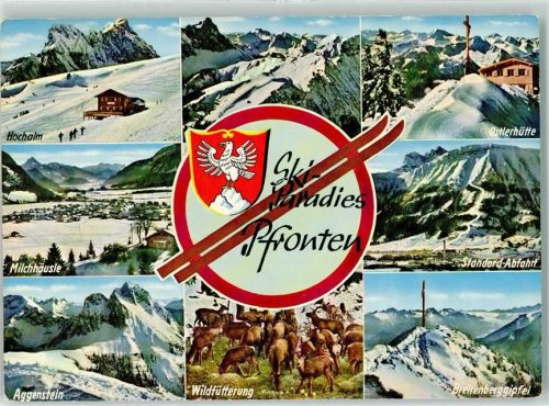 Pfronten Hochalm Ostlerhütte Milchhäusle Aggenstein Breitenberggipfel Hirsche Wappen Winter