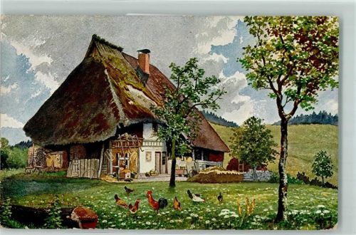 Schwarzwald-Idylle Bauernhaus AK