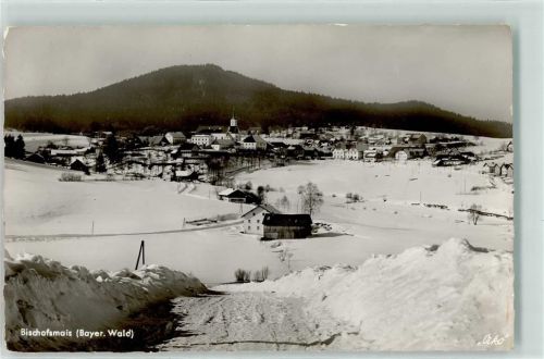 Bischofsmais Winter